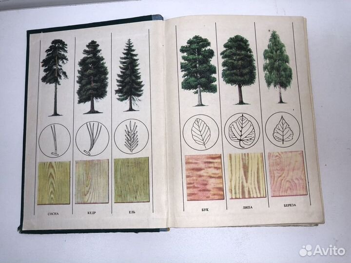 Справочник молодого столяра и плотника