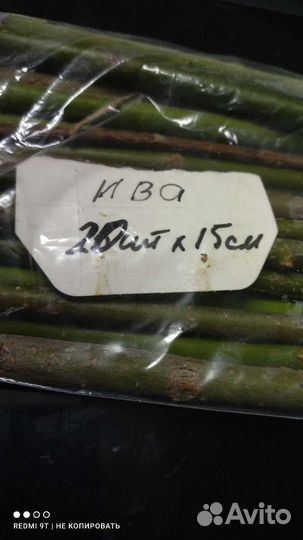 Ветки для вашего любимца