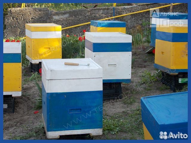 Компоненты пенополиуретана для пчелинных ульев ппу