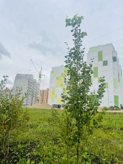 2-к. квартира, 74 м², 5/10 эт.