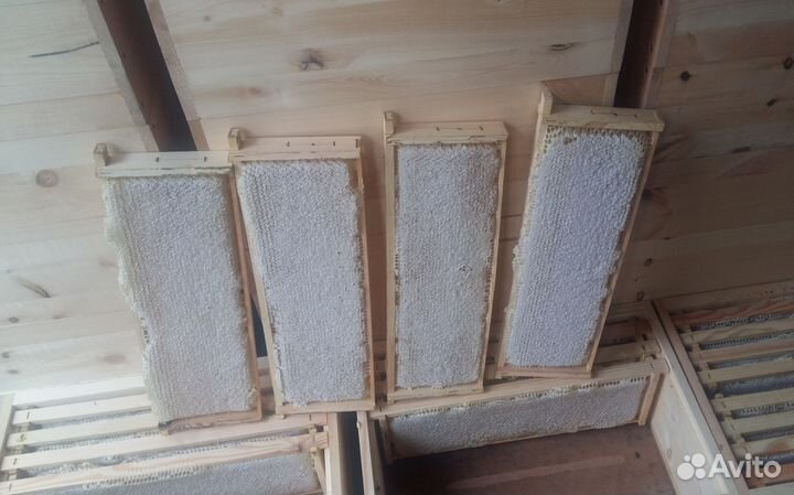 Мёд акации,соты прополис перга. Мелким оптом 15 кг