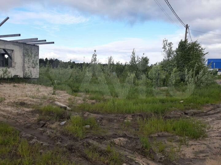 Участок 13,7 сот. (СНТ, ДНП)