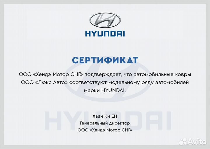 3D Коврики Hyundai Santa Fe Высокие Борта Экокожа