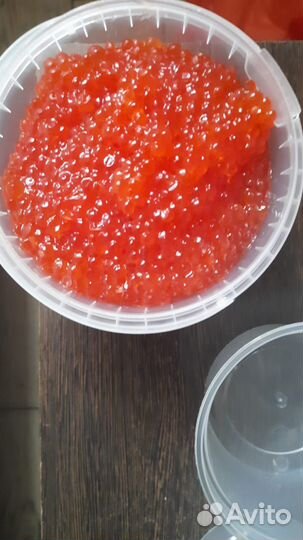 Икра Красная - Горбуша, Кета, Кижуч, Нерка