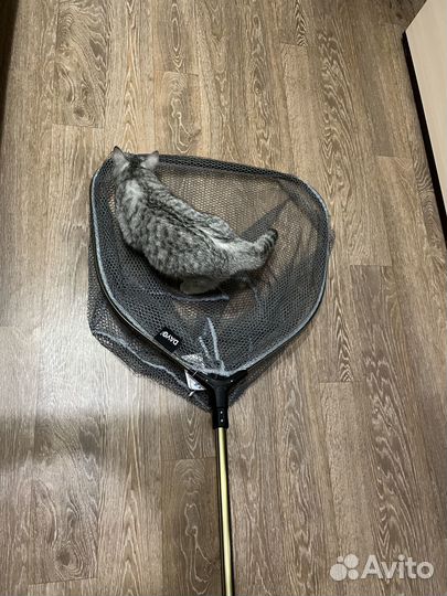 Подсак рыболовный