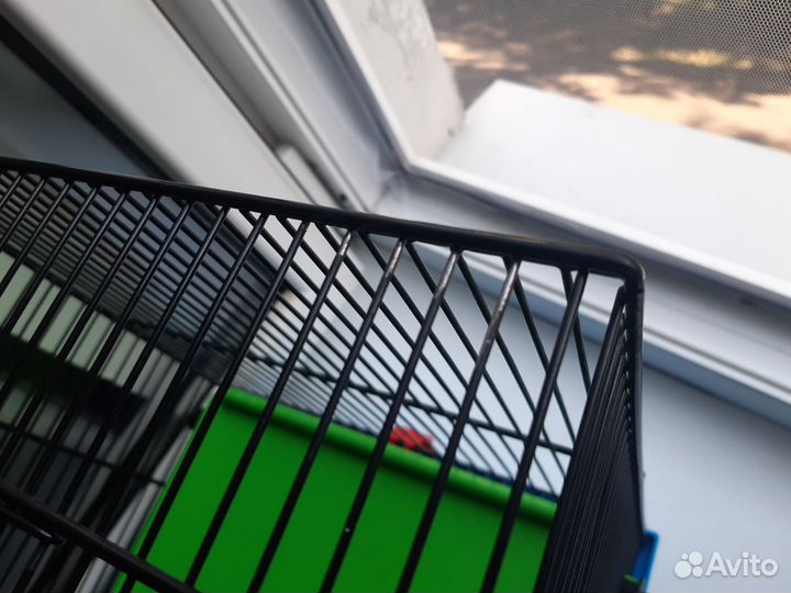 Клетка для хомяка бу