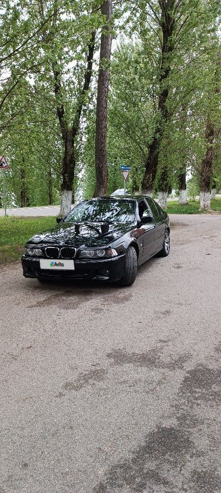 BMW 5 серия: фото владельца