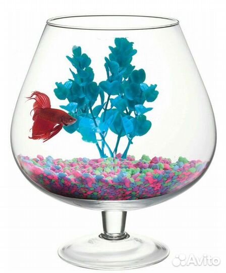 Готовый подарок на любой праздник