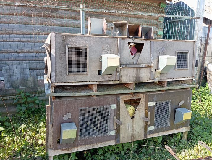 Клетка для кролика