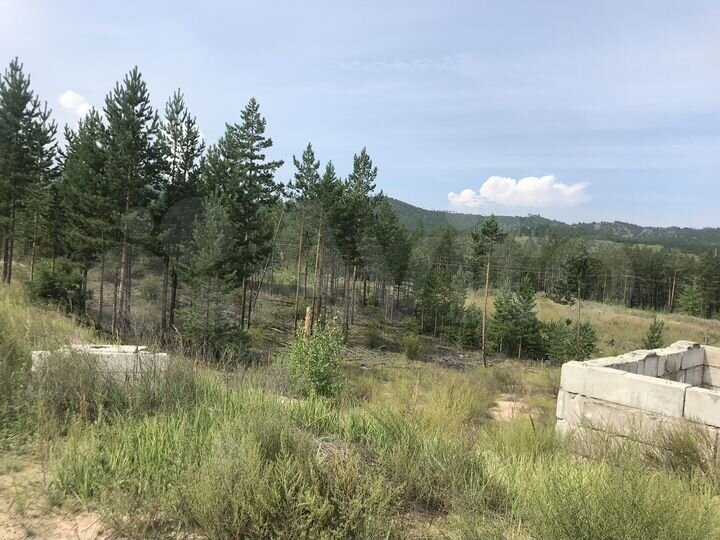 Участок 8 сот. (СНТ, ДНП)