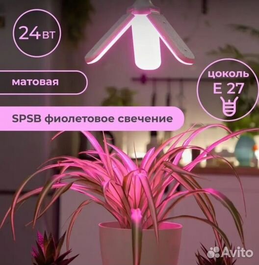 Фитолампа для растений