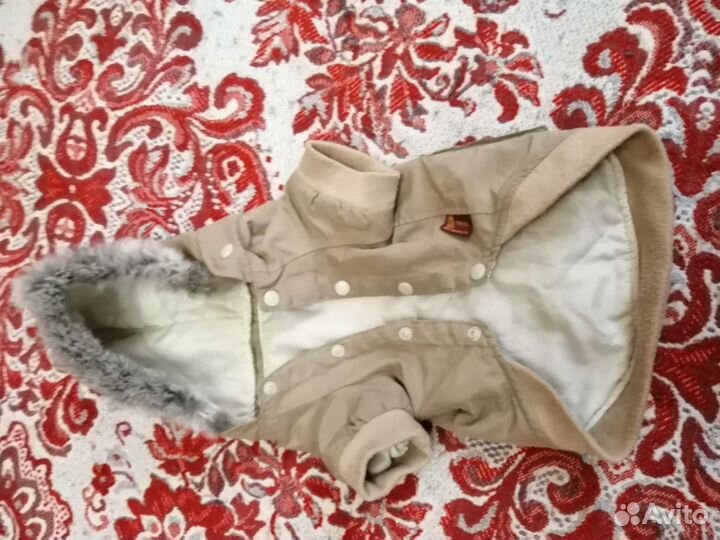 Костюм для собачки