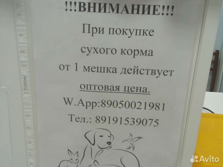 Корм для кошек и собак