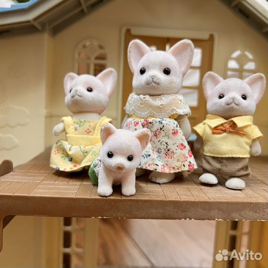 Sylvanian families семья чихухахуа