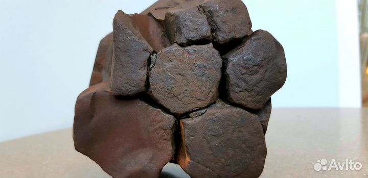 Окаменелость