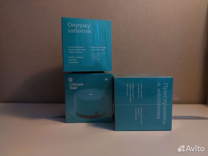 Яндекс станция лайт гарантия 1 год