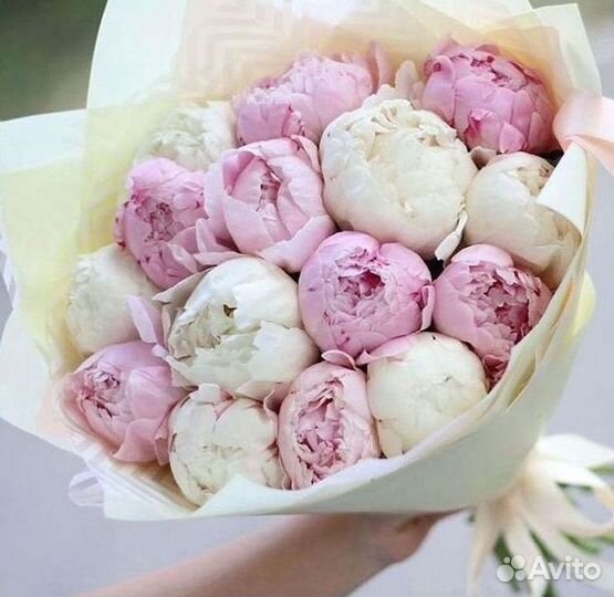 Пионы Букет пионов Доставка цветов