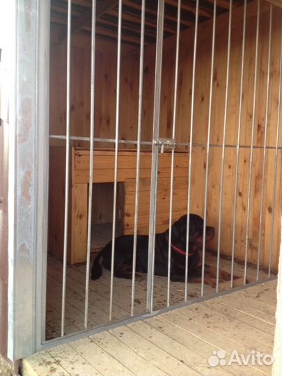 Гостиница для собак, вольерная передержка