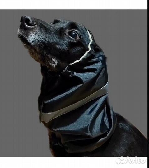 Снуд - шапка для собак