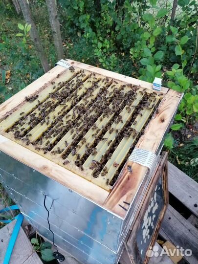 Утепленый альпийский улей. В комплекте крыша, дно