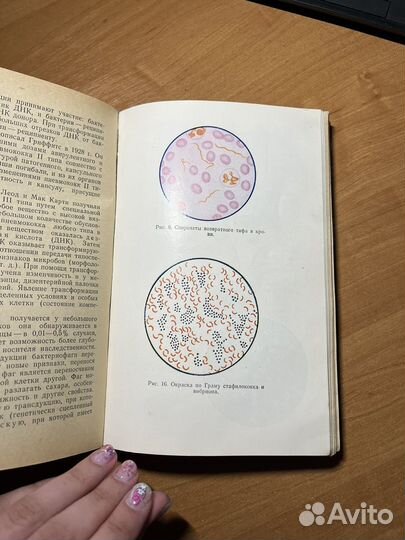 Микробиология