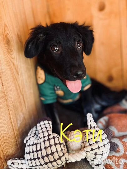 Залюбуйся нами