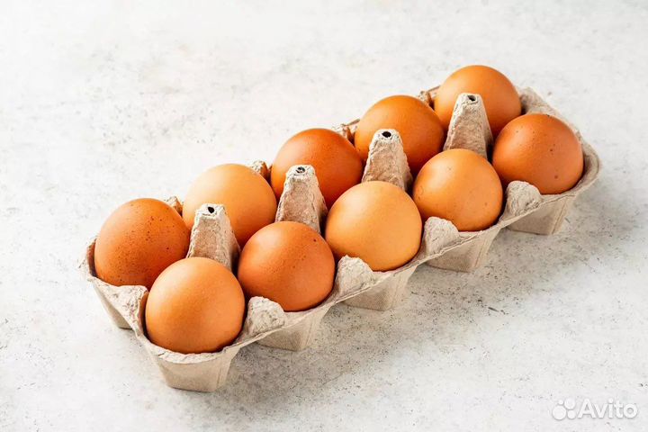 Домашние куриные яйца