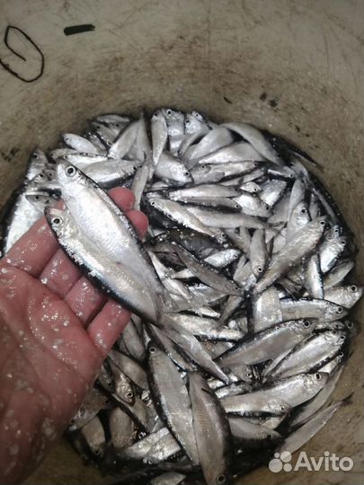 Продукты