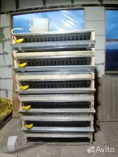 Клетки (перепела, кролики, бройлеры, собаки и др.)