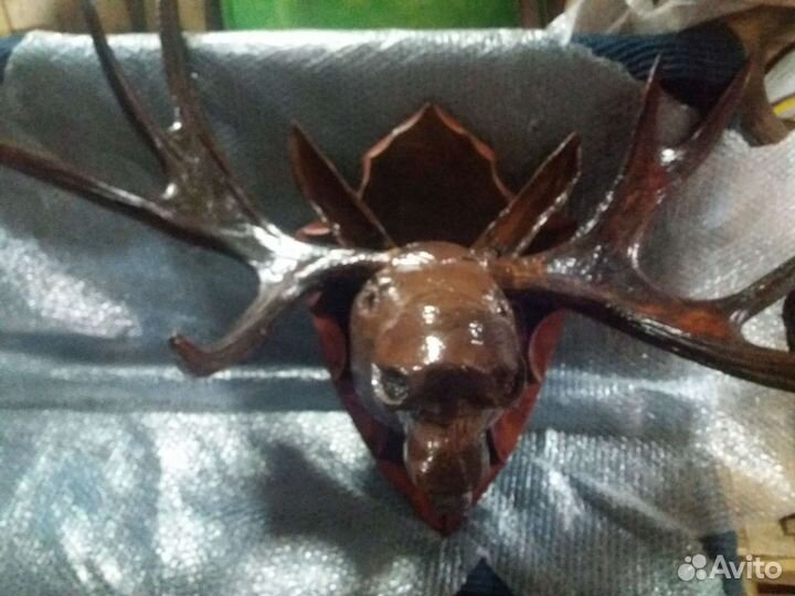 Рога оленя
