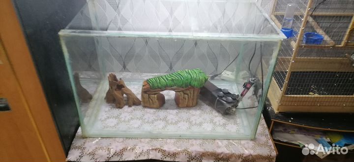 Аквариум