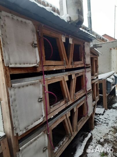 Клетка для кролика