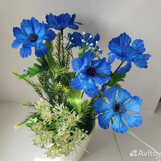 Васильки полевые цветы