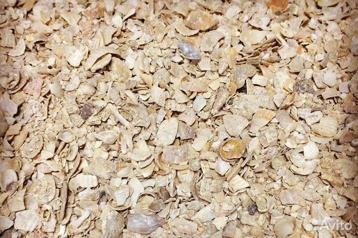 Ракушка Кормовая для С/Х птицы