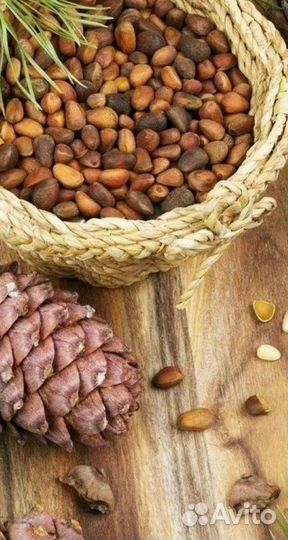 Кедровый орех