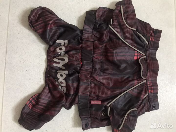 Одежда и обувь для собачки