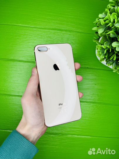 iPhone 8 plus 64gb(акб100);
