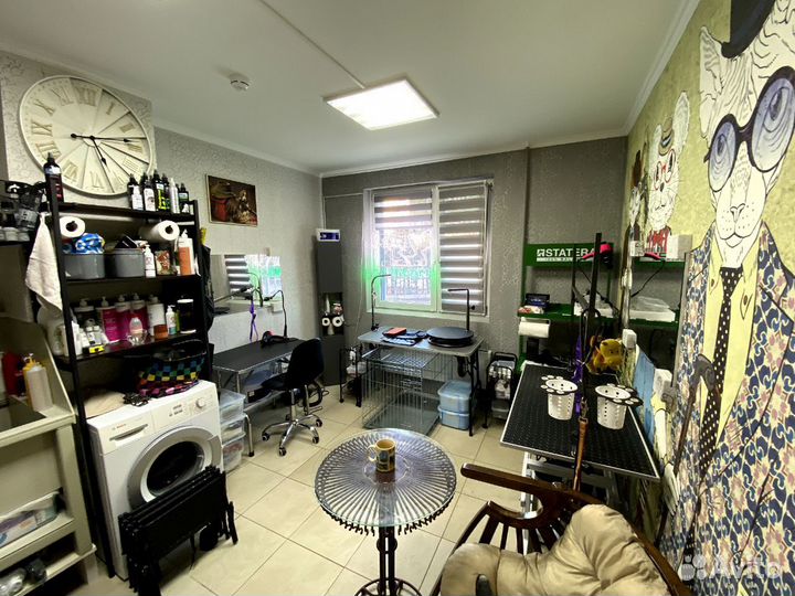 Помощник грумера и Грумер