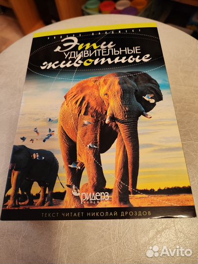 Dvd диски про животных Вт комплекте по 3 диска