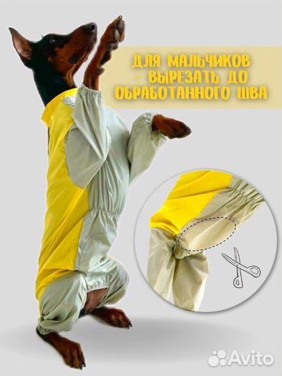 Дождевик для собаки