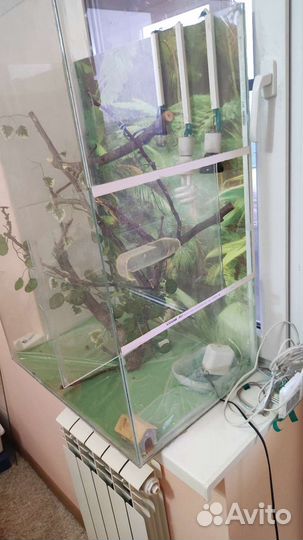 Террариум для рептилий бу