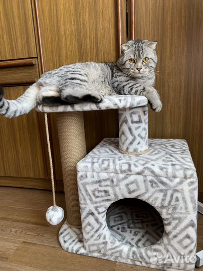 Домик для кошки