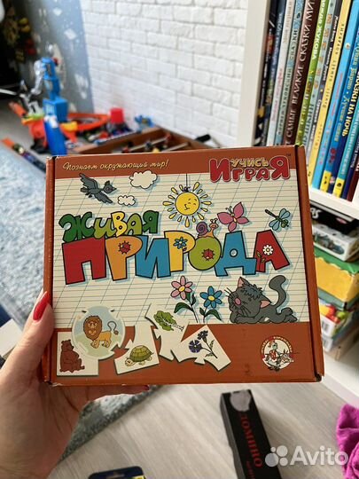 Настольные игры 2-4 года