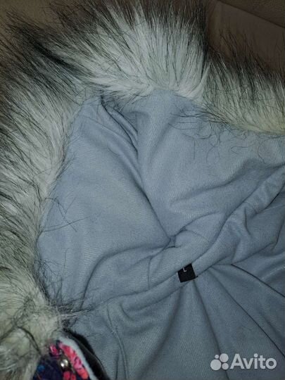 Одежда для собак