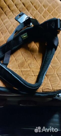 Шлейка для собаки