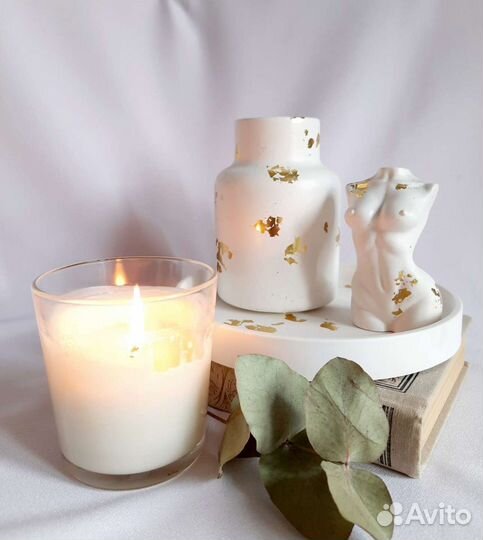 Торсы мужской, женский