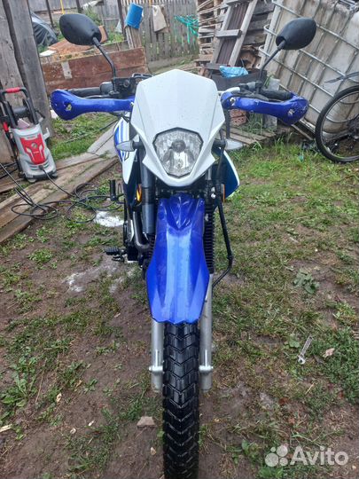 Racer 250 Panther Lite