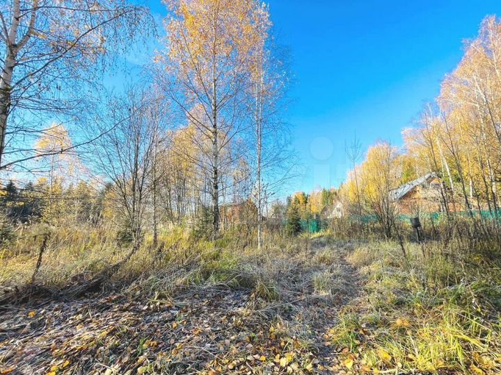 Участок 11,5 сот. (ИЖС)