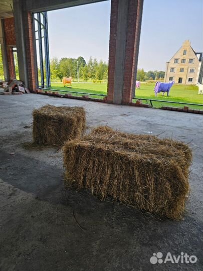 Тюки сена
