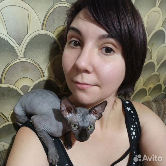 Астролог. Натальная карта, прогноз, совместимость